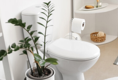 Bathroom with white toilet, white shelving and plant