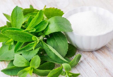 Stevia plant on kitchen counter top
